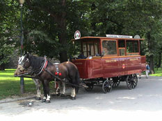 Omnibus